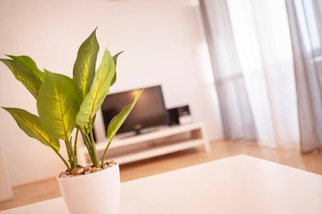 Sea City View W/ 2Bd 1Bt Free Street Parking Fiume Esterno foto